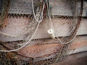 Рыбаков, добровольно сдавших свои сети, освободят от административной ответственности.