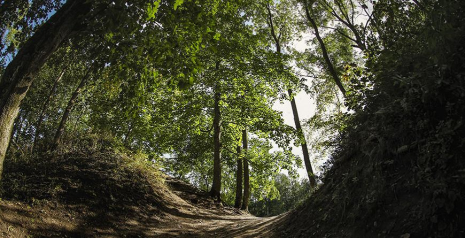 В пяти районах Гродненской области введено ограничение на посещение лесов